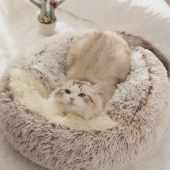 Pet Bed Round Plush Warm Bed House Soft Long Plush